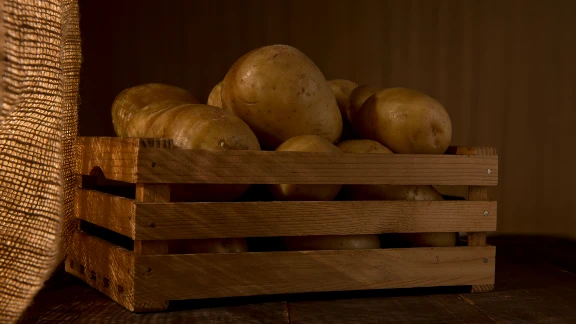 Fresh potatoes in a wooden crate, stored in a dimly lit pantry setting