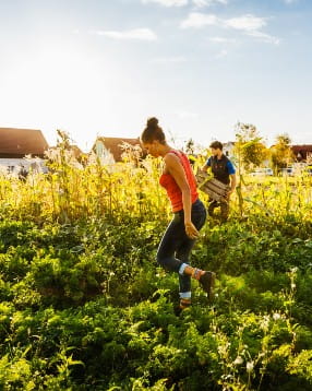 Fact-5-thanksgiving-outdoors