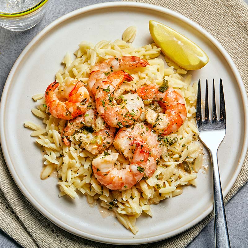 shrimp scampi